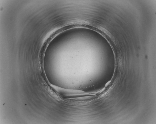 X0000076301022200609291030