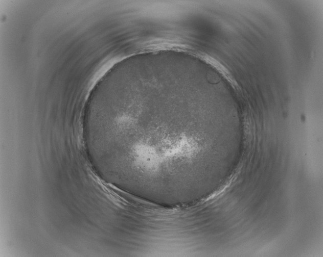 X0000076301023200609291030