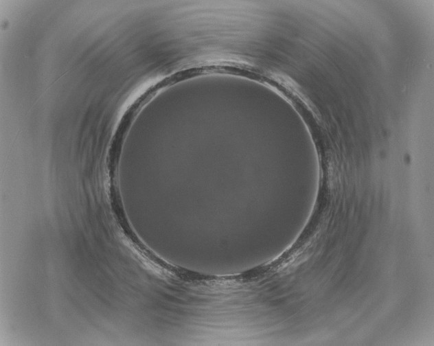 X0000076301024200609291030