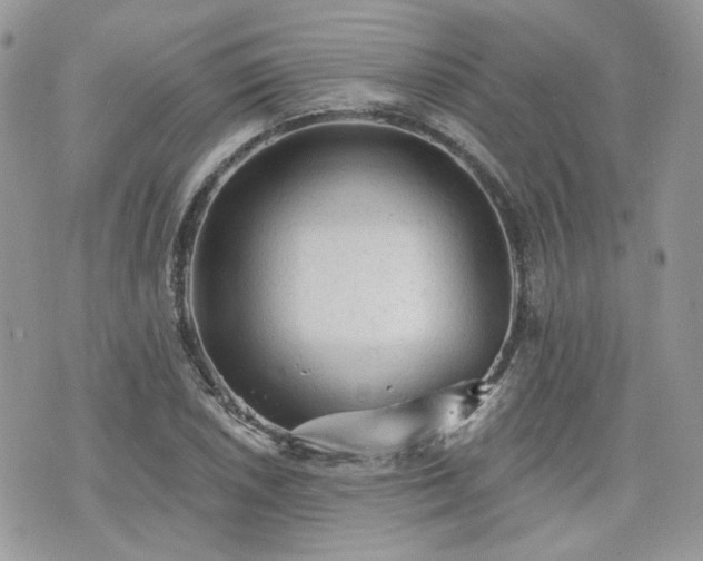 X0000076301026200609291030