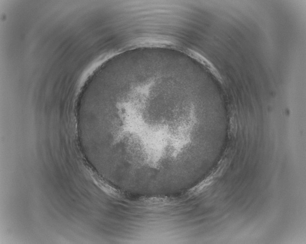 X0000076301027200609291030