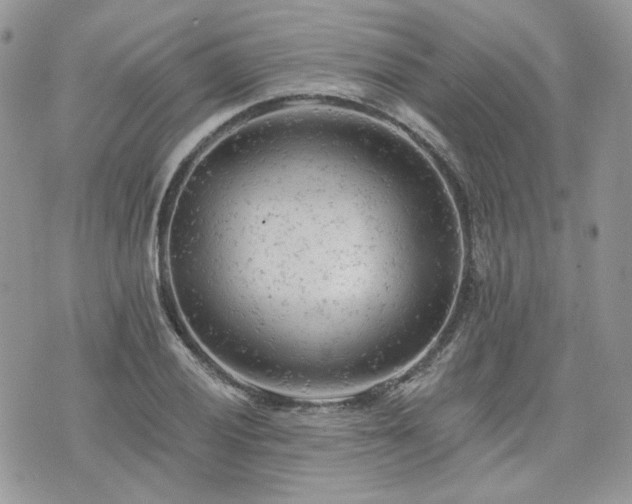 X0000076301028200609291030