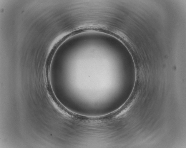 X0000076301030200609291030