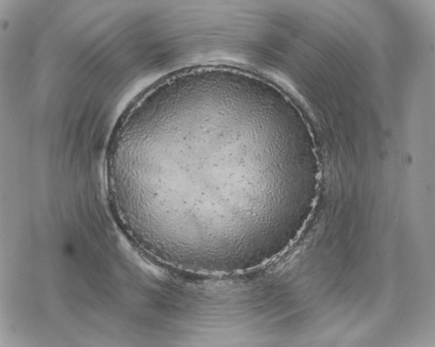 X0000076301032200609291030