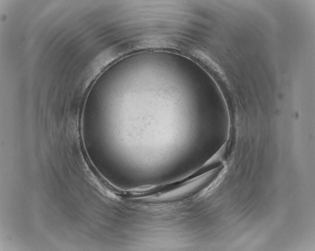 X0000076301033200609291030