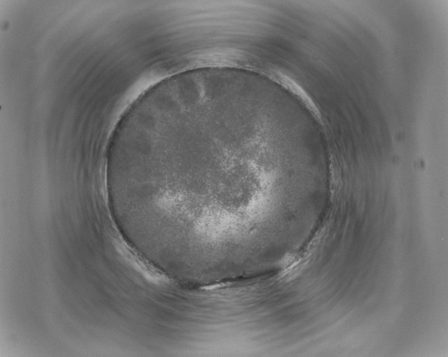 X0000076301035200609291030