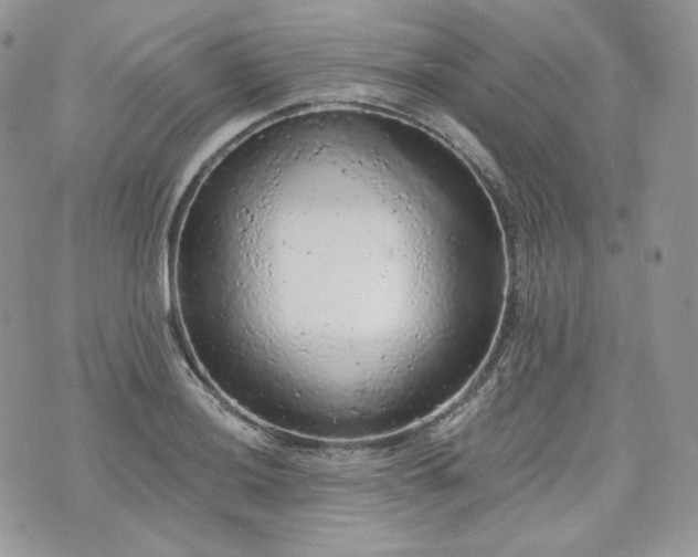 X0000076301036200609291030