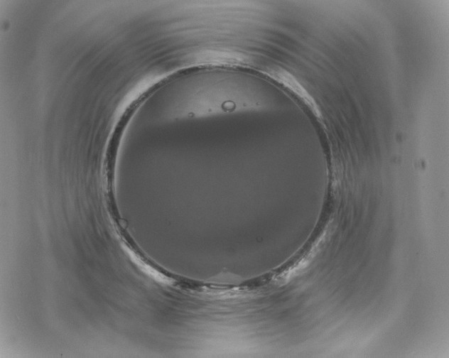 X0000076301037200609291030