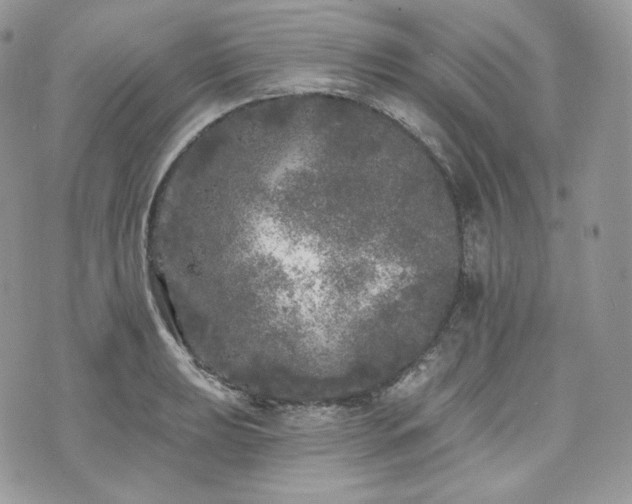 X0000076301039200609291030