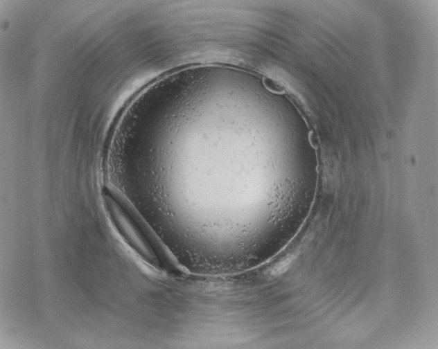 X0000076301040200609291030