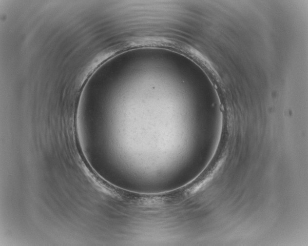 X0000076301041200609291030