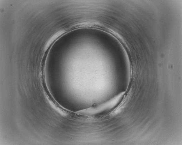 X0000076301042200609291030