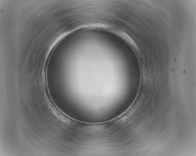 X0000076301044200609291030