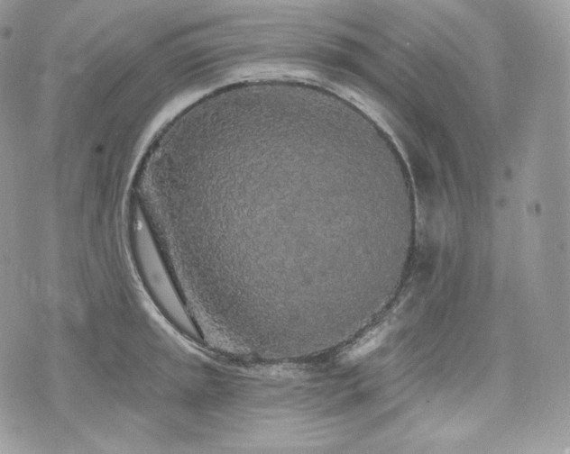 X0000076301045200609291030