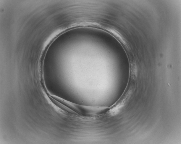 X0000076301046200609291031