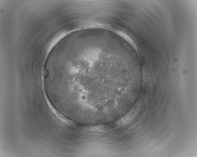 X0000076301047200609291031