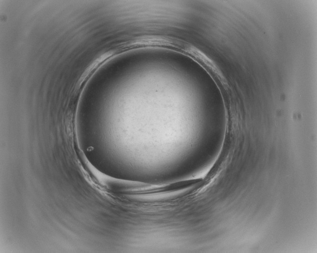 X0000076301049200609291031