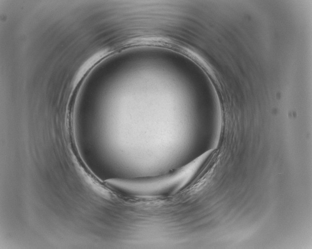 X0000076301050200609291031