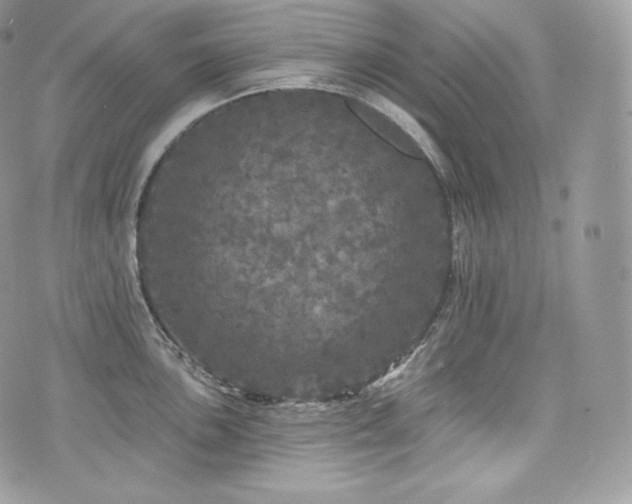 X0000076301051200609291031