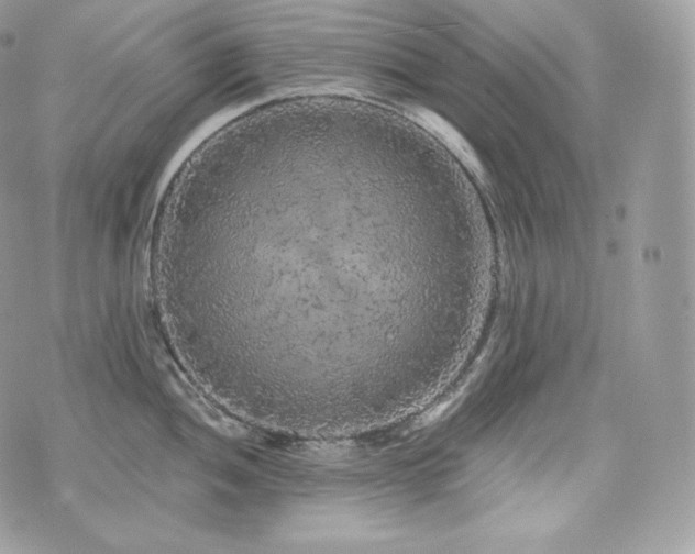 X0000076301052200609291031