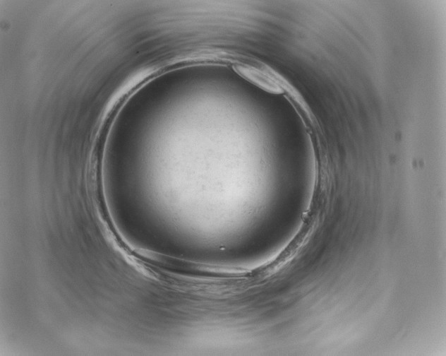 X0000076301053200609291031