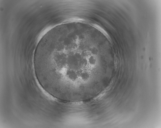 X0000076301055200609291031