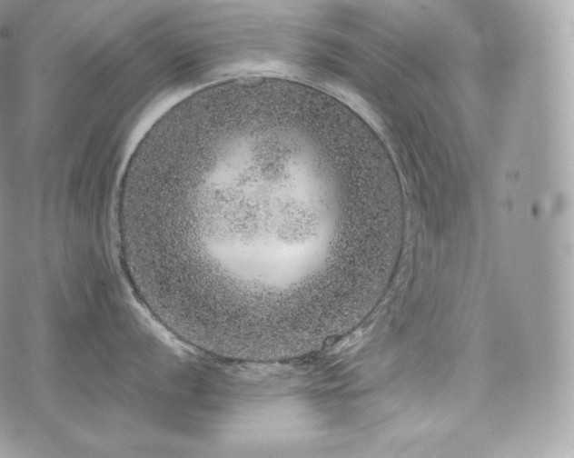 X0000076301056200609291031