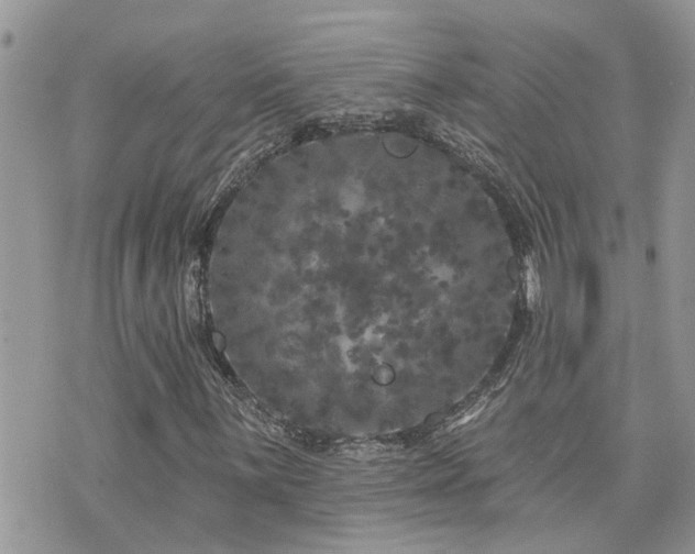 X0000076301059200609291030