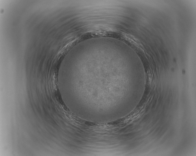 X0000076301060200609291030