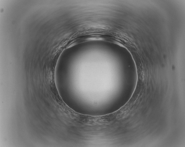 X0000076301061200609291030