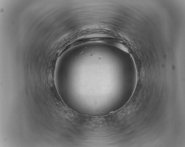 X0000076301062200609291030