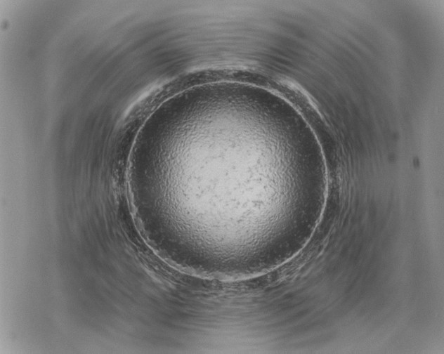 X0000076301064200609291030