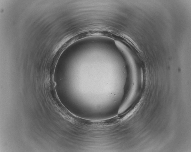 X0000076301065200609291030