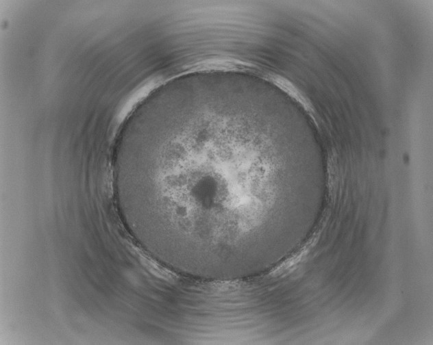 X0000076301067200609291030