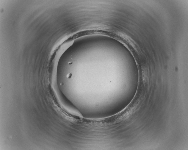 X0000076301069200609291030