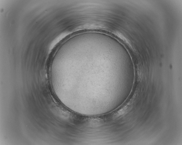 X0000076301070200609291030