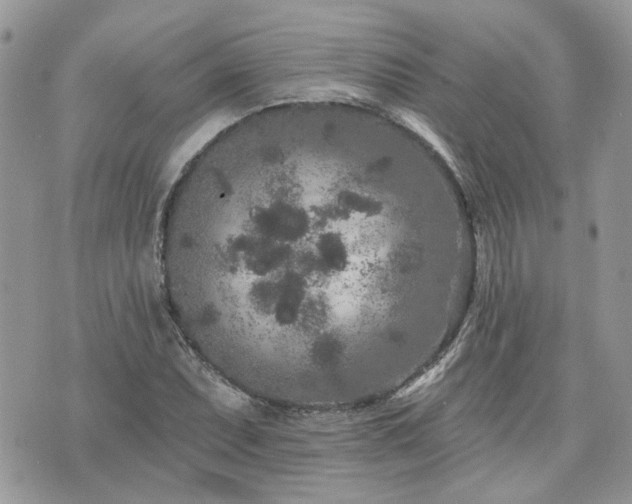 X0000076301071200609291030