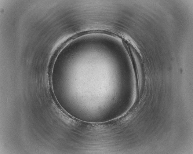 X0000076301072200609291030