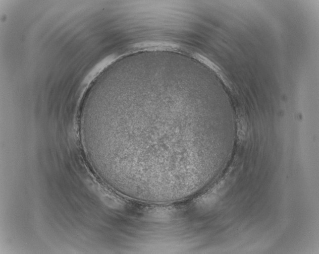 X0000076301074200609291030