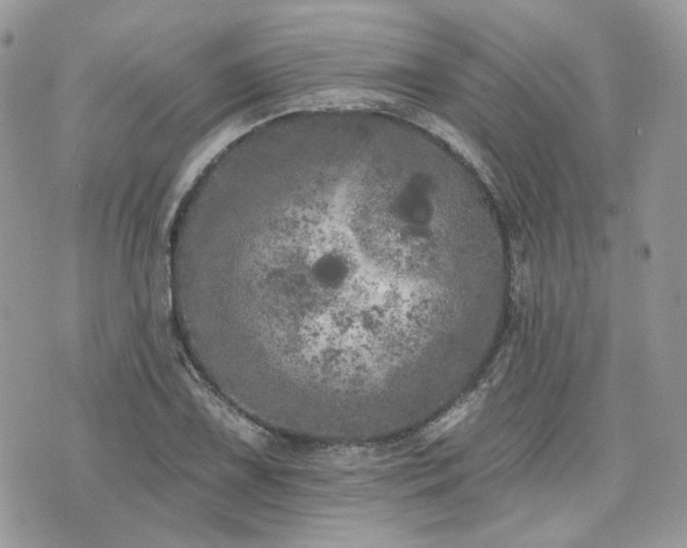 X0000076301075200609291030