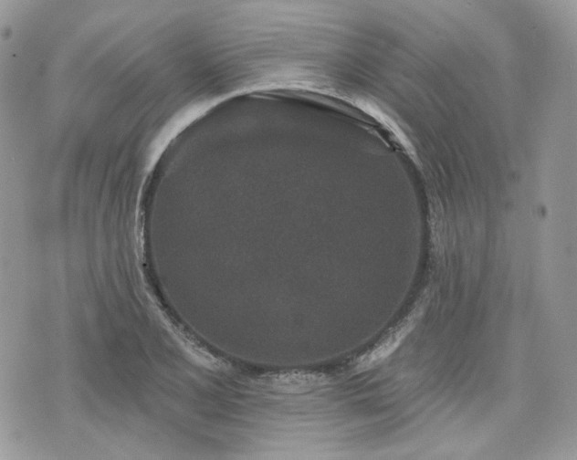 X0000076301077200609291030