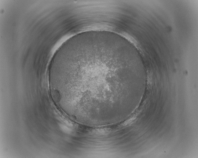 X0000076301078200609291030