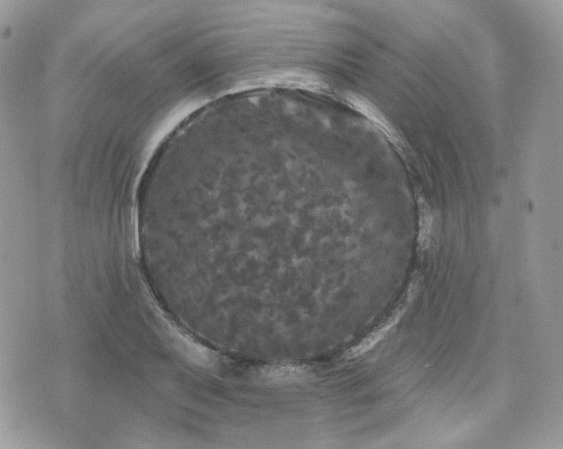 X0000076301079200609291030