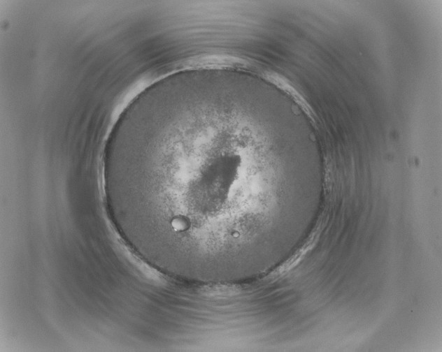 X0000076301083200609291029