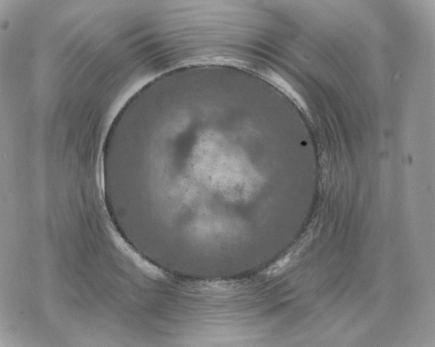 X0000076301084200609291029