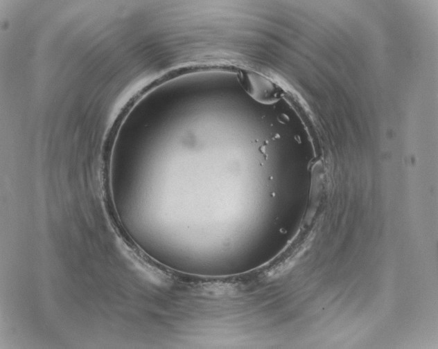 X0000076301085200609291029