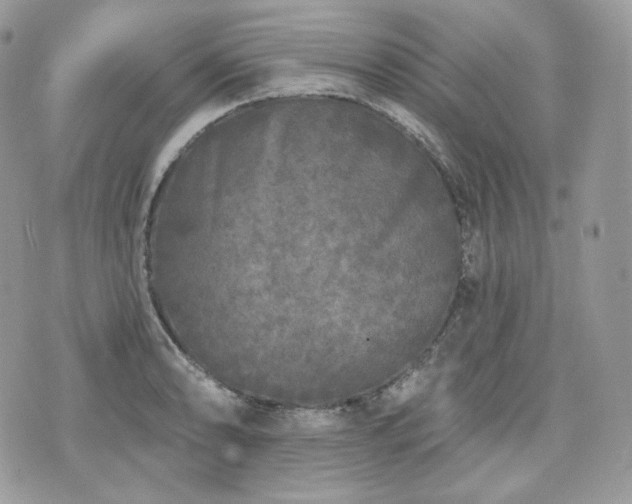 X0000076301086200609291029