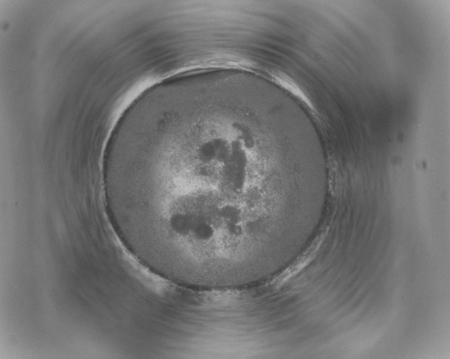 X0000076301087200609291029