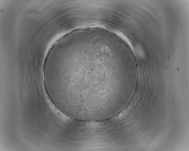 X0000076301088200609291029