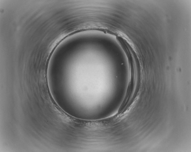 X0000076301089200609291029